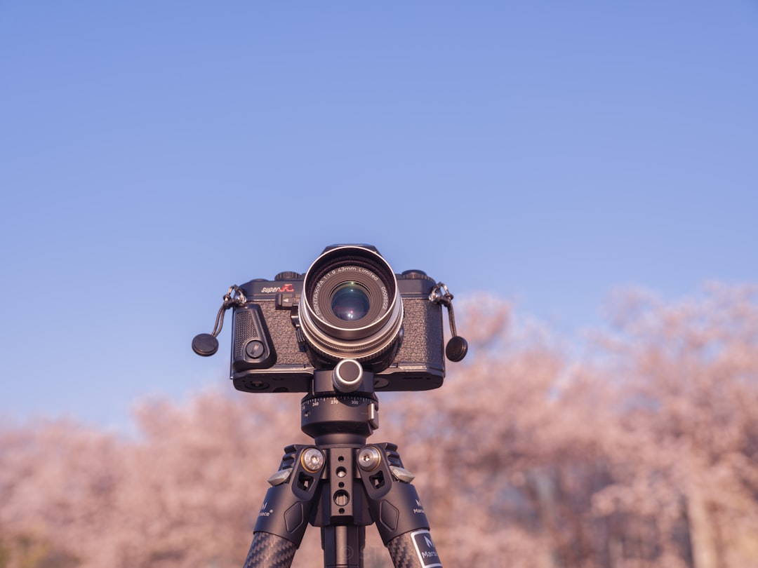 The Ultimate Guide to Traveling Light with Essential Supplies The Ultimate Guide to Traveling Light with Essential Supplies