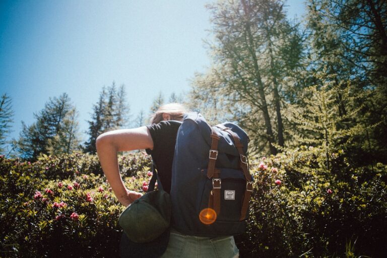 Essential Travel Gadgets That Every Explorer Should Own